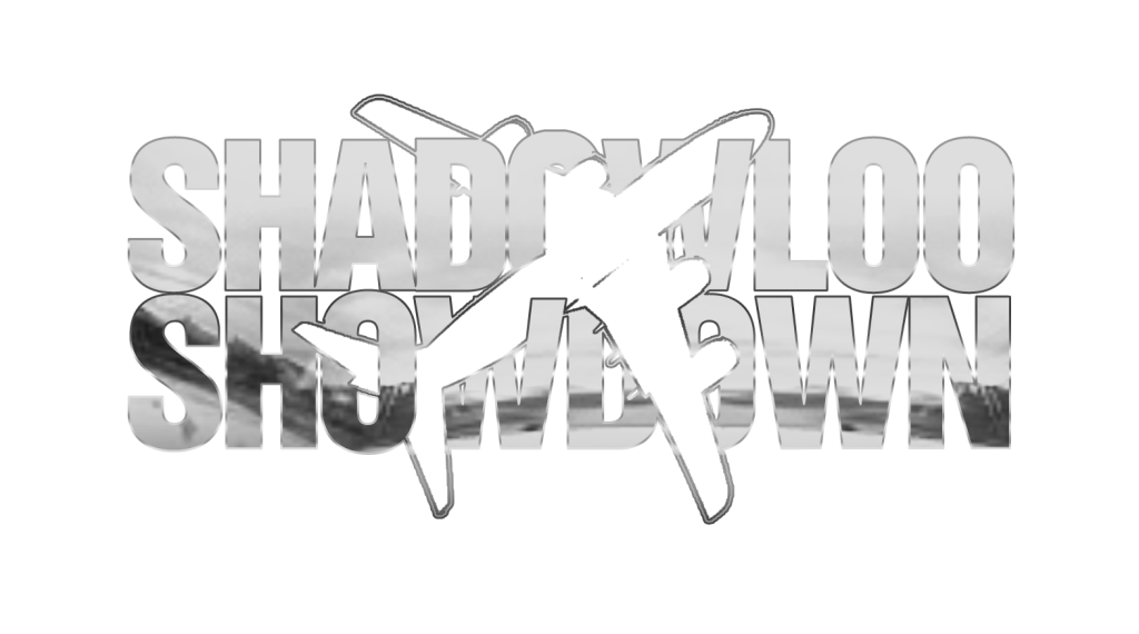 SSdown logo 3
