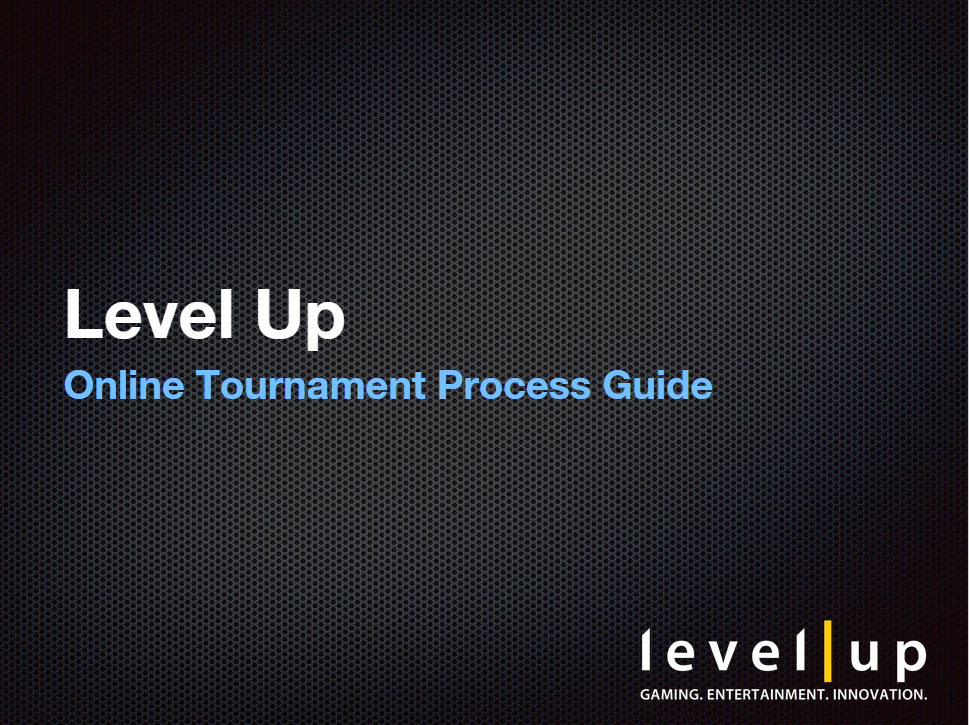 levelup_online_process